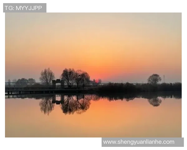 文班深入研究进攻时机力求每次出手都成为最佳选择的秘诀与心得分享