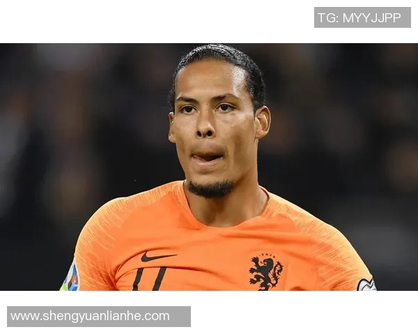 荷兰足球历史身价排行榜揭晓范迪克领衔弗兰基德容紧随其后