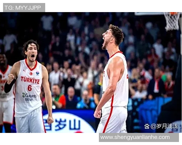 历史首次中锋对决约基奇与申京同场砍下30三双精彩瞬间回顾